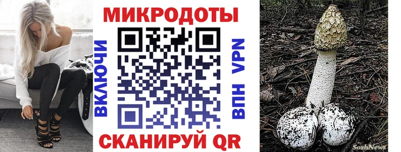 Псилоцибиновые грибы прущие грибы  Усолье 
